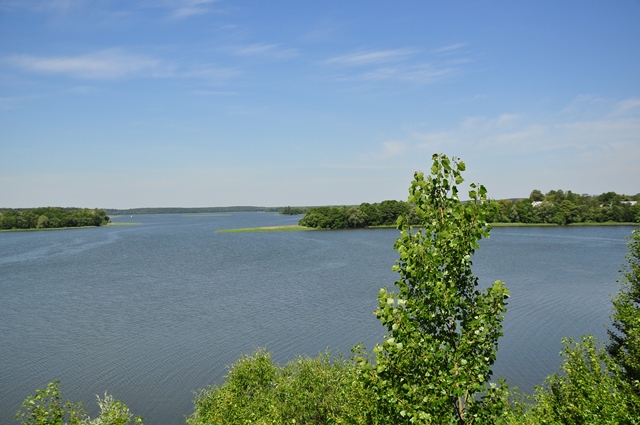 DSC 0354